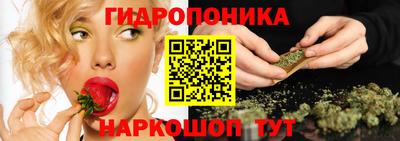 стаф Красноармейск