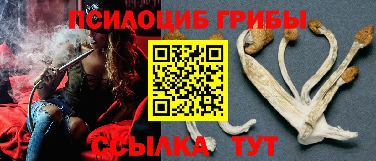 Псилоцибиновые грибы Cubensis Бахчисарай